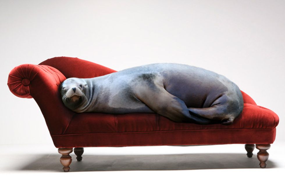 This Week's Hottest Events: Art Fairs, Vintage Fashion Fair, and Best Coast