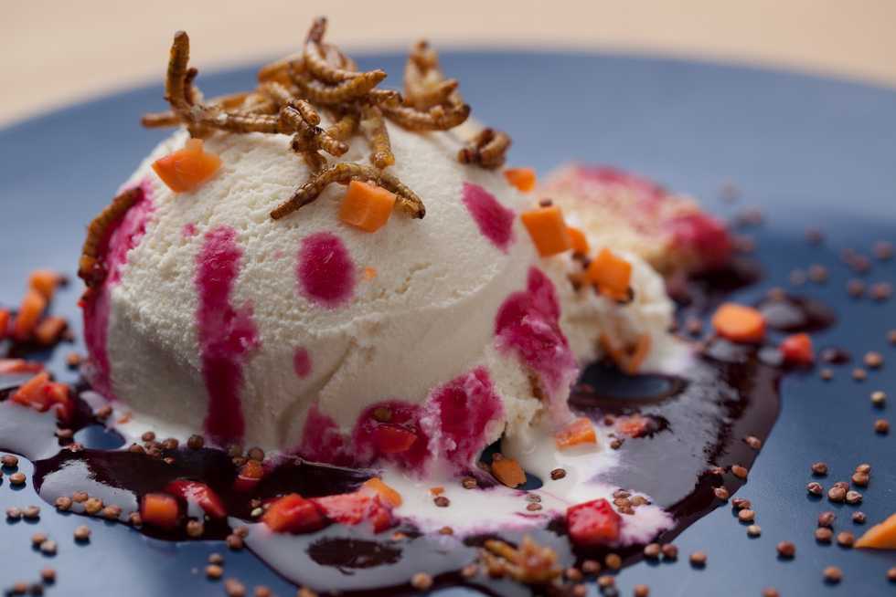 Foodie Agenda: Edible Bugs, Coffee Tasting and More