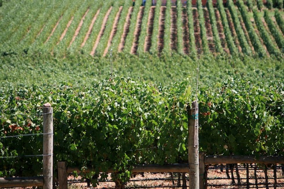 Cairdean Winery Leverages Google Business Apps to Build a New Business