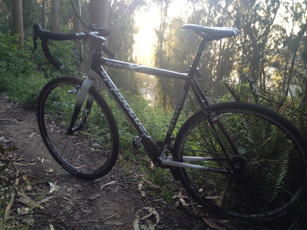 Riding Mount Sutro’s Awesome Singletrack