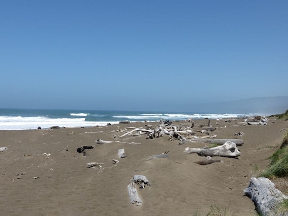 Must-See Beaches in Mendocino County