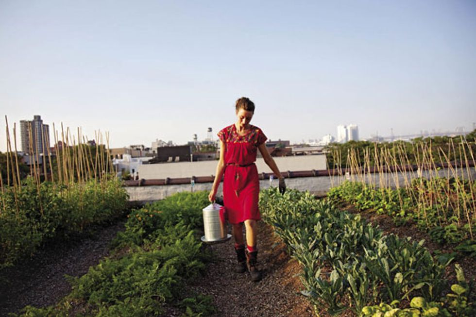 Get Green with These Local Gardening and Farming Classes
