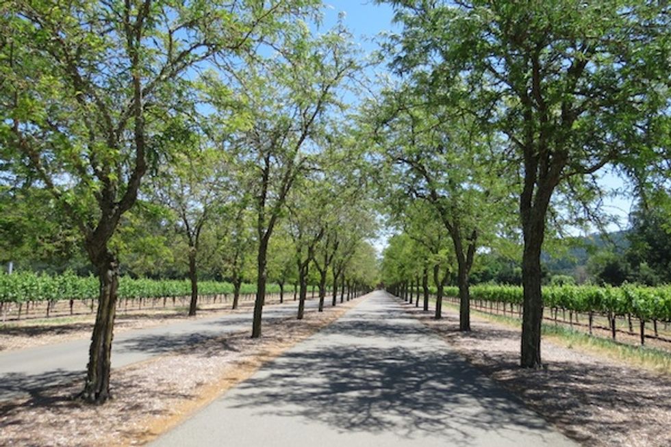 A Taste of Wine Country Even the Kids Will Love