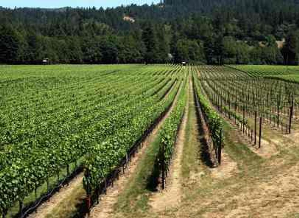A Tasting of Russian River Single-Vineyard Wines