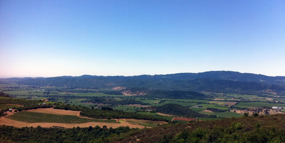 One Day in Napa Valley