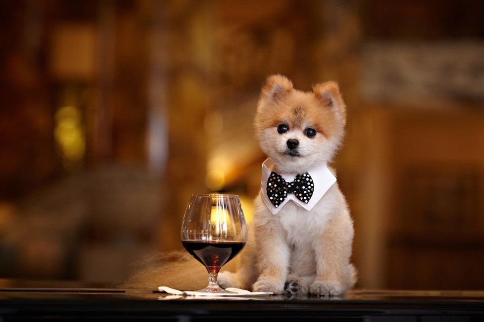 Meet Gentleman Norman and Celebrate Fab Fashion at Neiman Marcus's Cusp Opening!