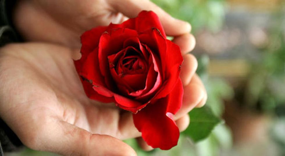 Half Moon Bay Opens its Gardens to the Public