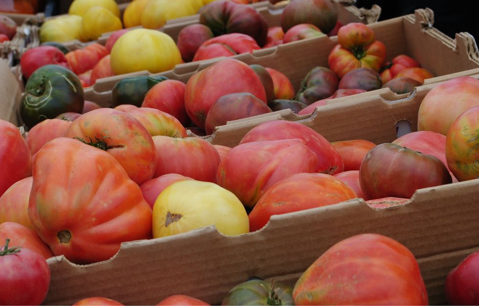 Market Watch: Tomatoes of All Kinds Invade the Ferry Plaza Farmers Market