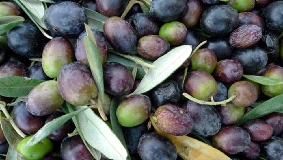 How Many Olives Can You Eat?