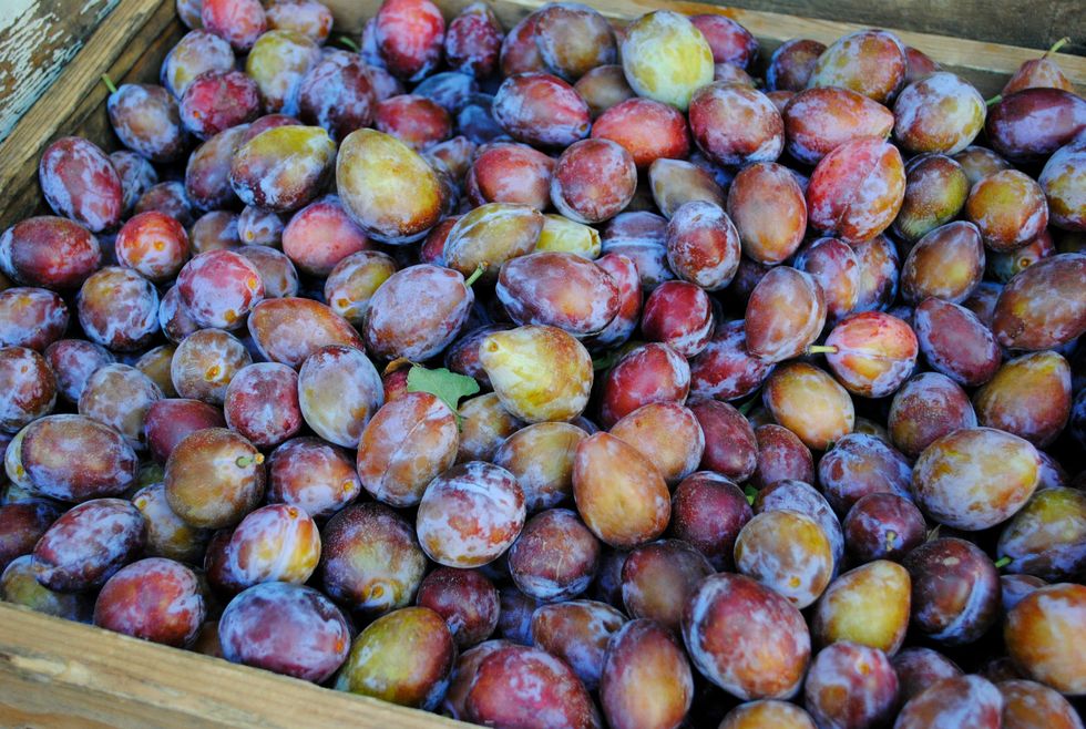 Market Watch: Exotic Summer Produce Comes to the Ferry Plaza