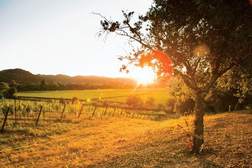 SoMA, Meet Wine Country's St. Helena