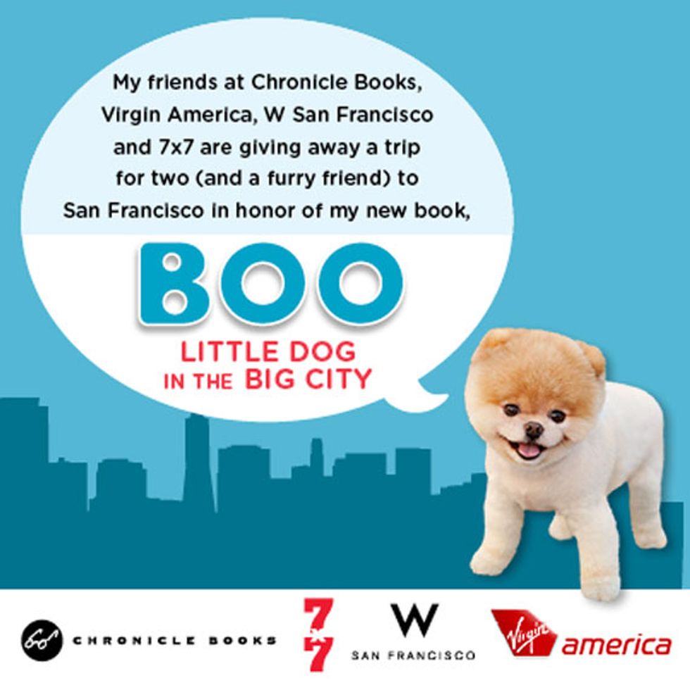 Win a Trip for Two (and a Furry Friend) to Celebrate Boo's New Book!