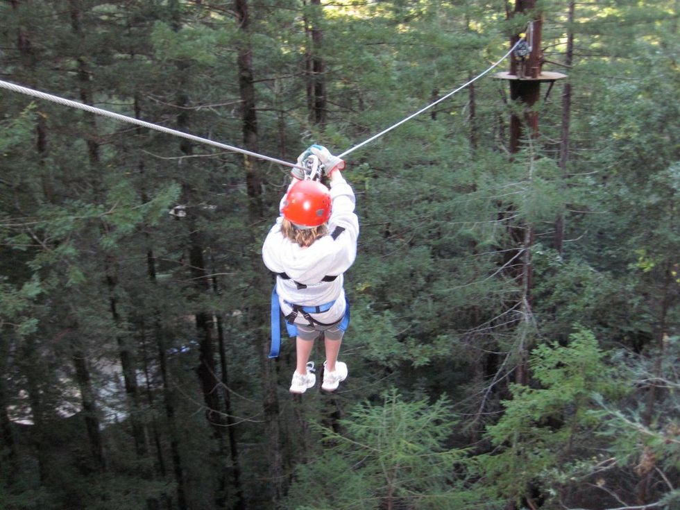 Zip the Day Away in Occidental, Sonoma County