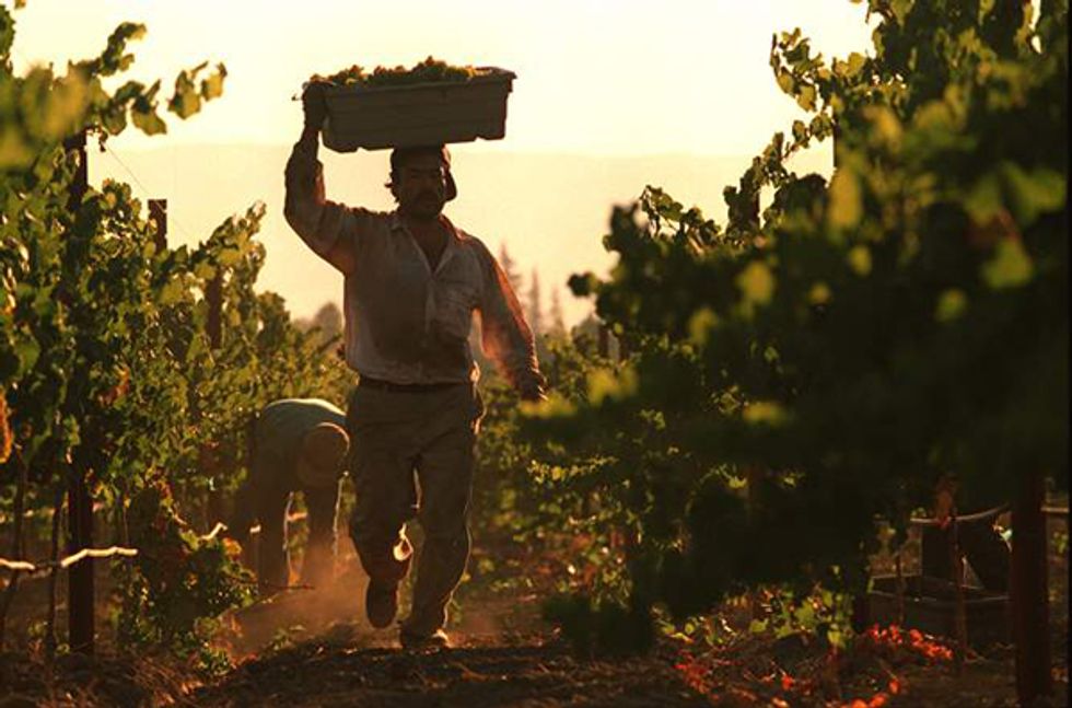 This Season's Wine Country Harvest Parties