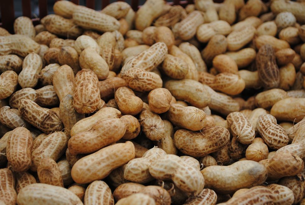 Market Watch: The First Crops of Nuts Come to the Ferry Plaza Farmers Market