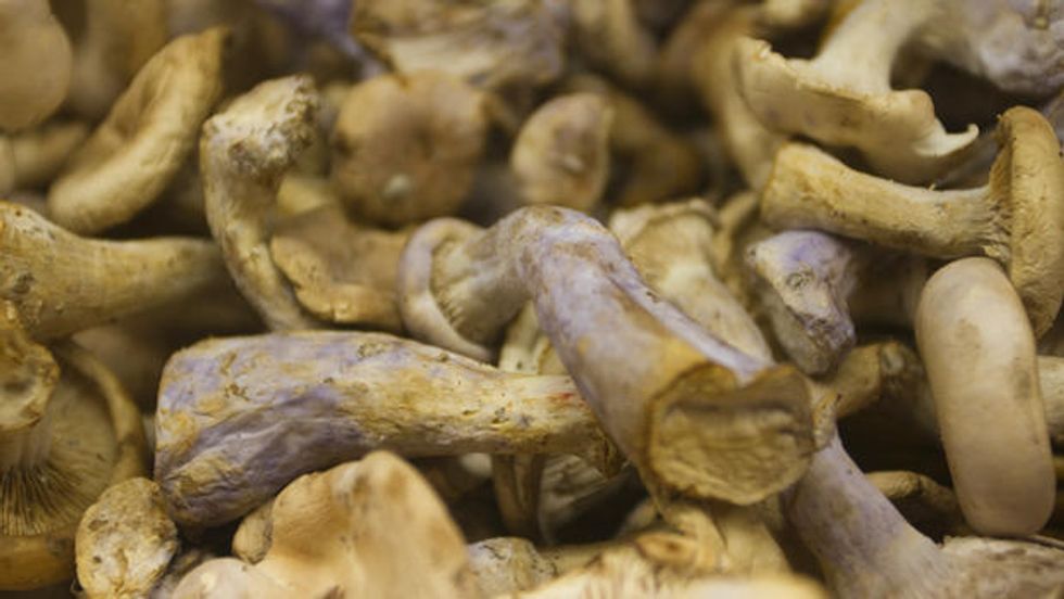 It's Mushroom Mania in Monterey