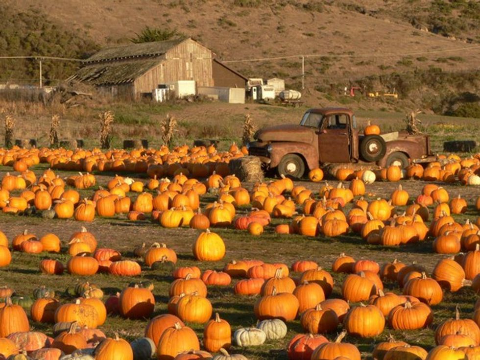 Weekend Long Pumpkin Party in Half Moon Bay