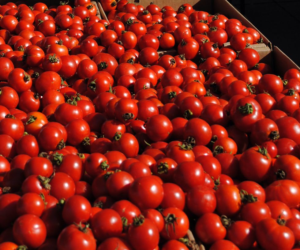 Market Watch: Stock Up on Tomatoes While You Can!