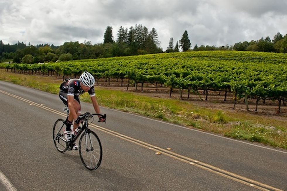 50 Things to Do in Wine Country Before You Die