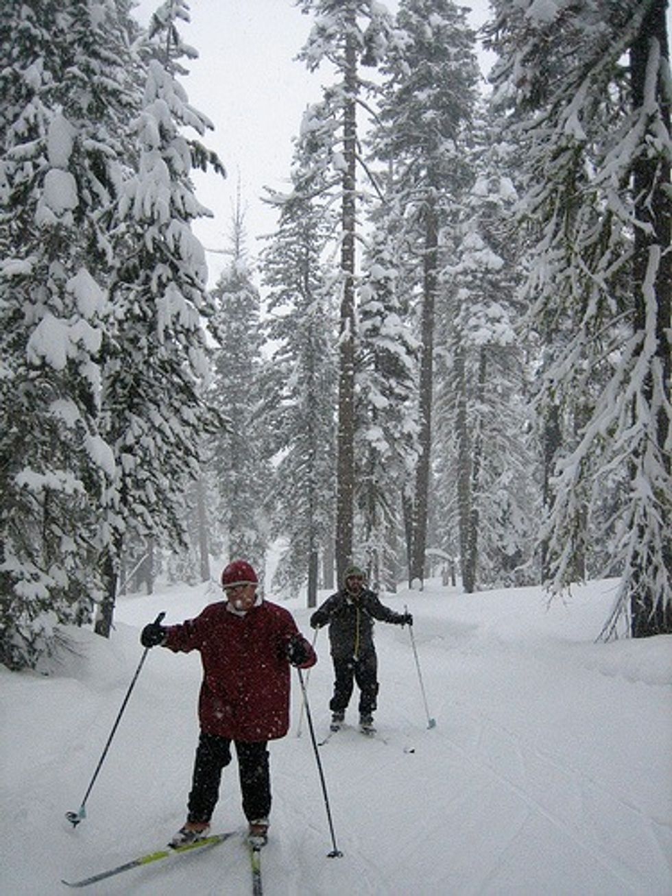 Sugar Bowl Adds Royal Gorge's Winter Playground