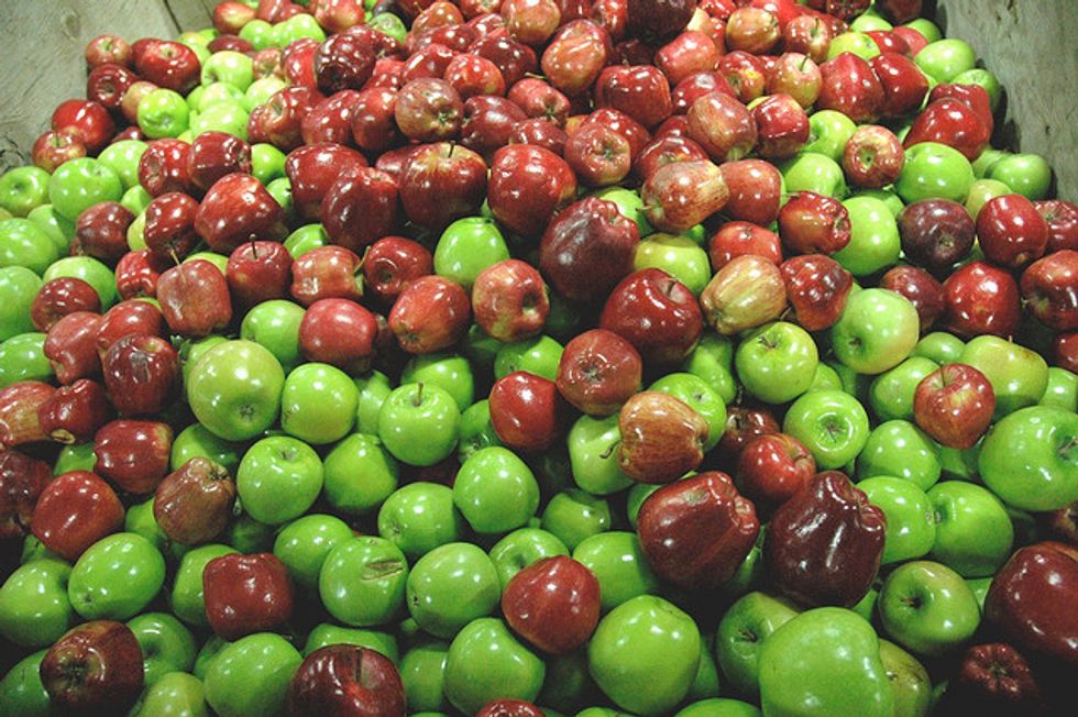 Apple Adventures in Northern California