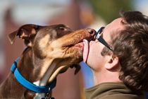 Ask A Vet: Why Does My Dog Kiss Me on the Mouth? - 7x7 Bay Area