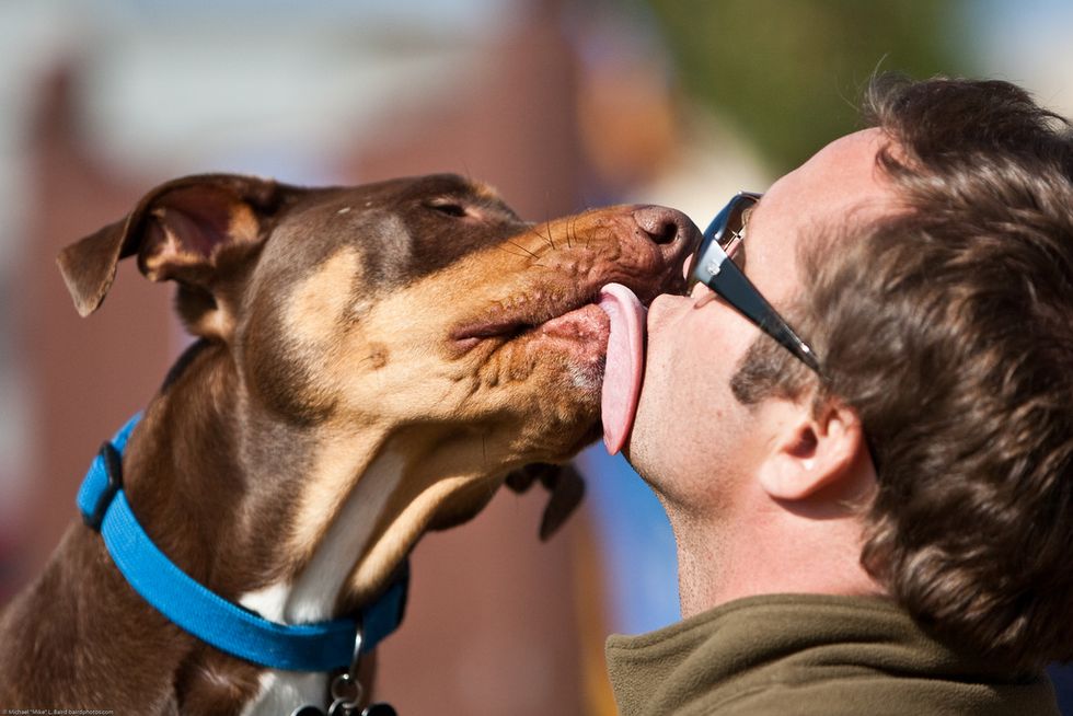 Ask A Vet: Why Does My Dog Kiss Me on the Mouth?