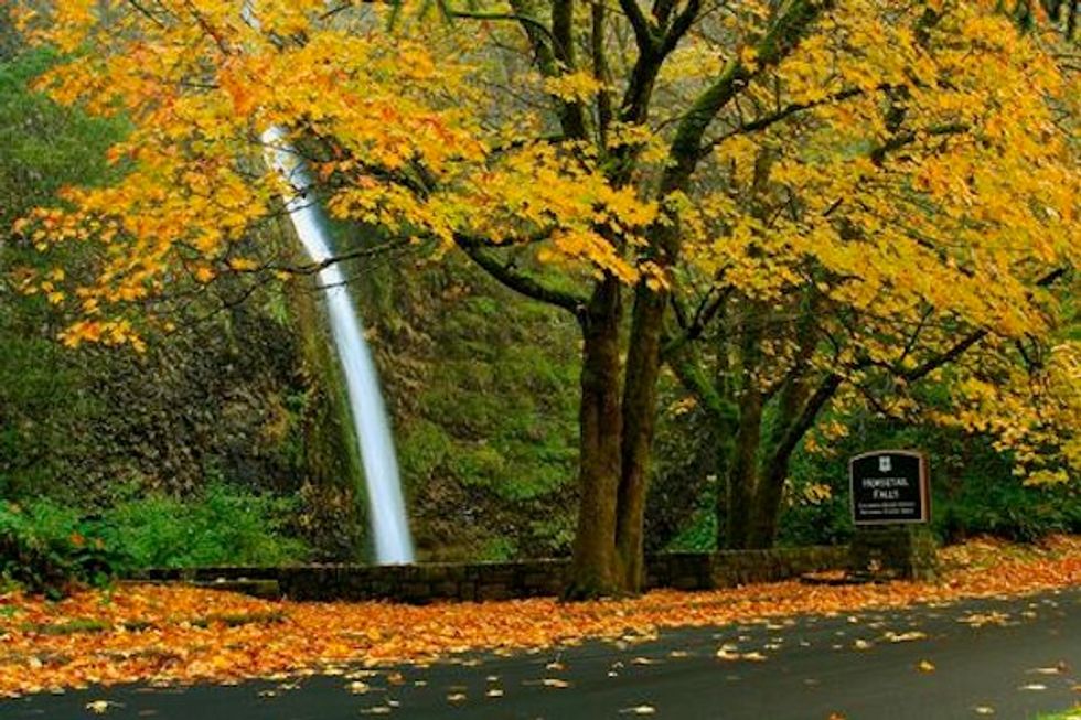 Four Amazing Autumn Hikes in the Columbia River Gorge