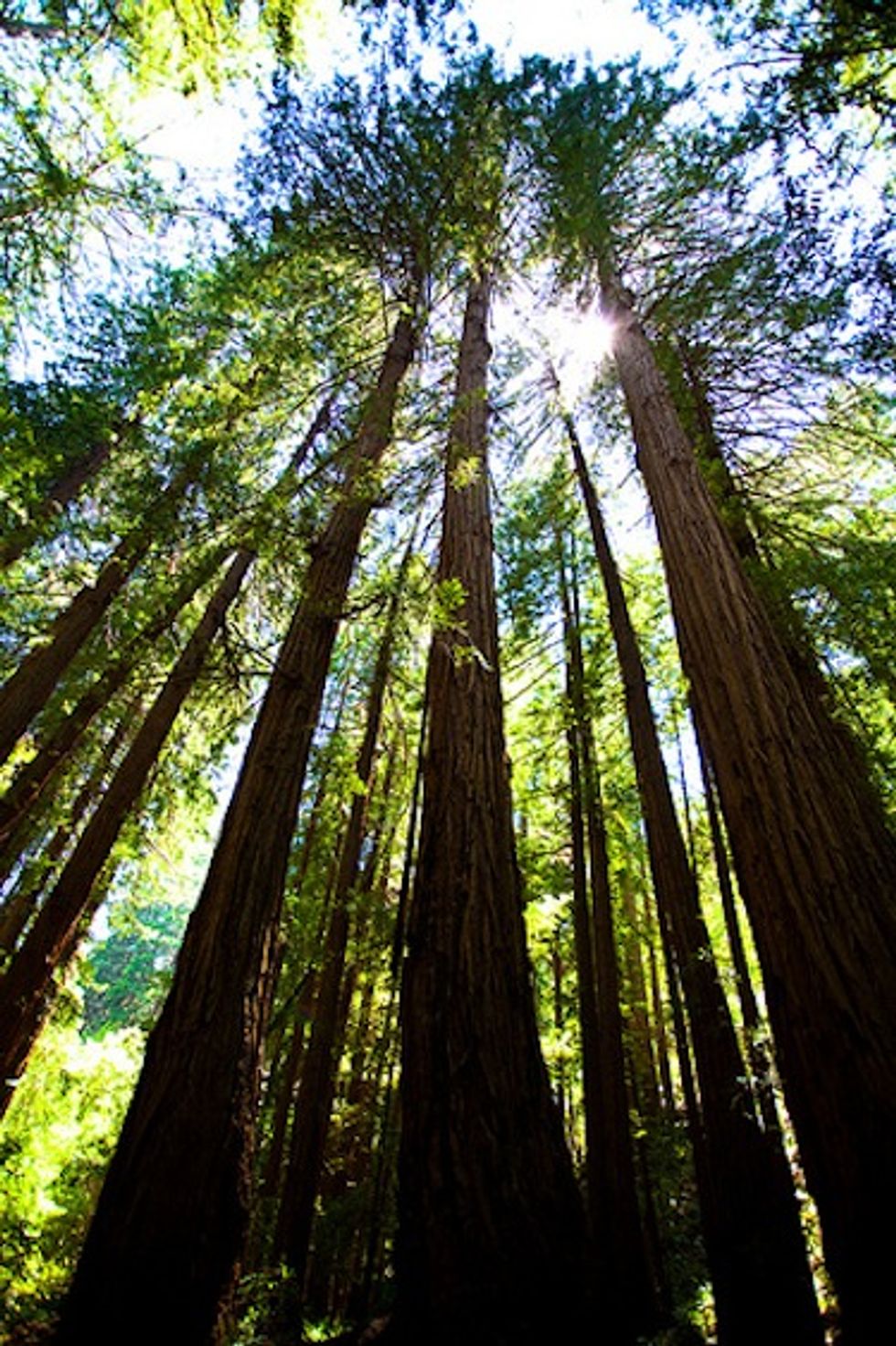 Three Reasons to Cross the Golden Gate Bridge