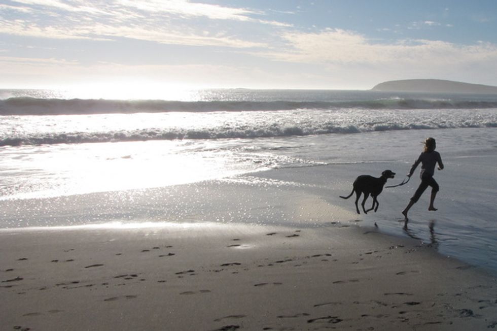 Five Reasons to Head to Bodega Bay in Winter