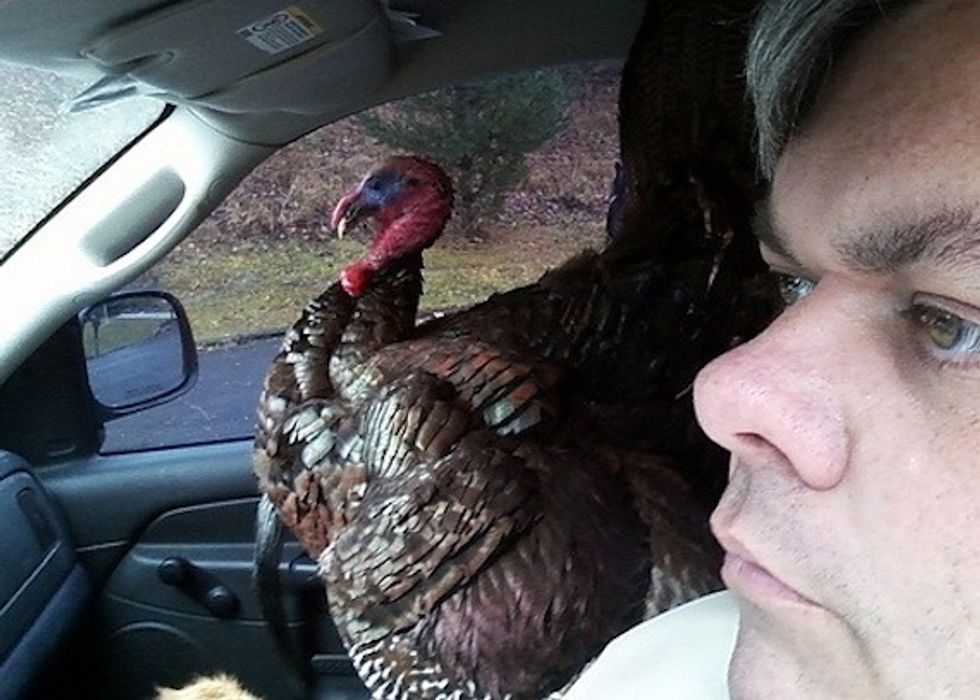 Thanksgiving Holiday Parking Rules