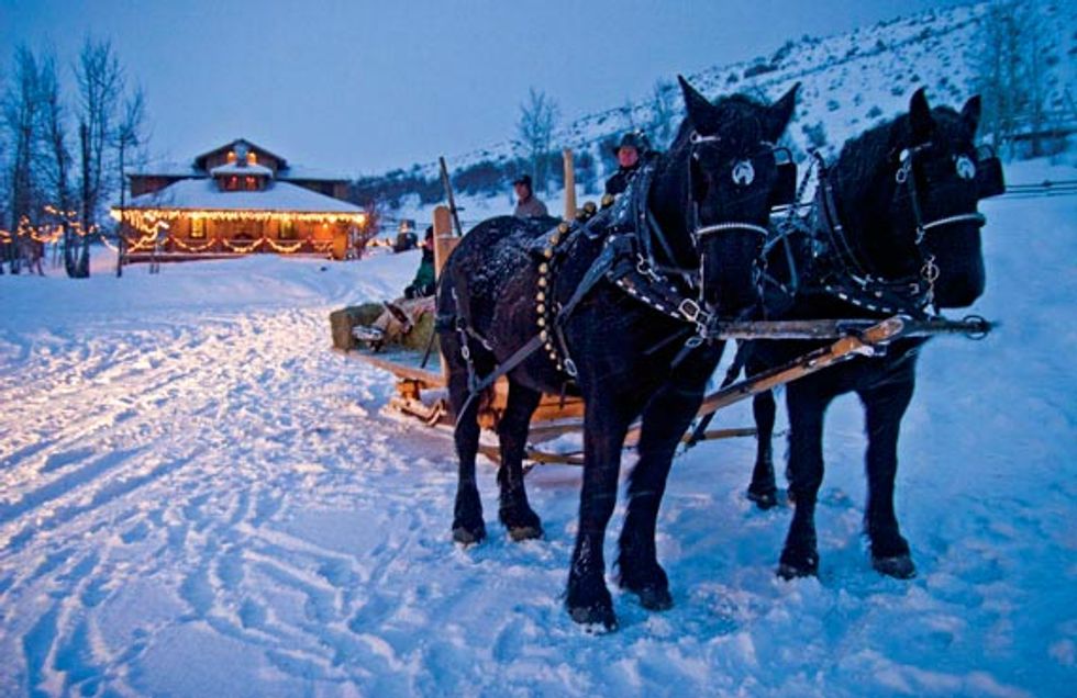 A Winter Wonderland Below the Teton Range