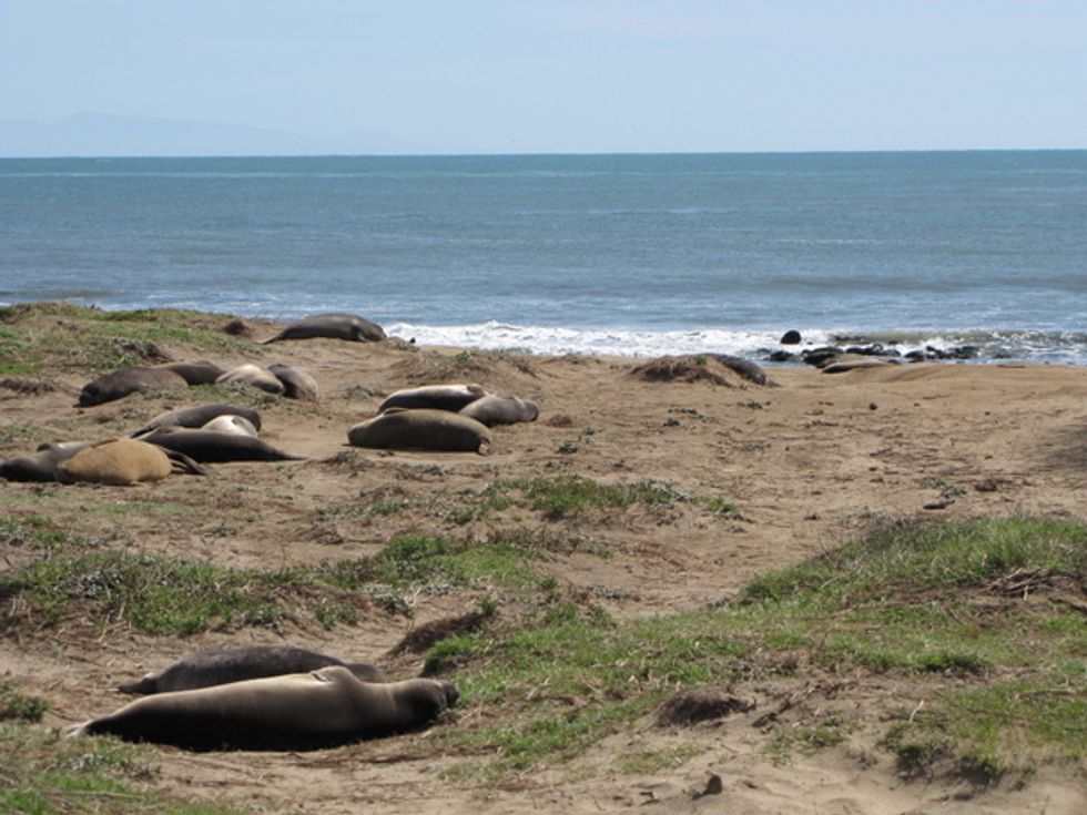 5 Beaches for the Christmas Visit List