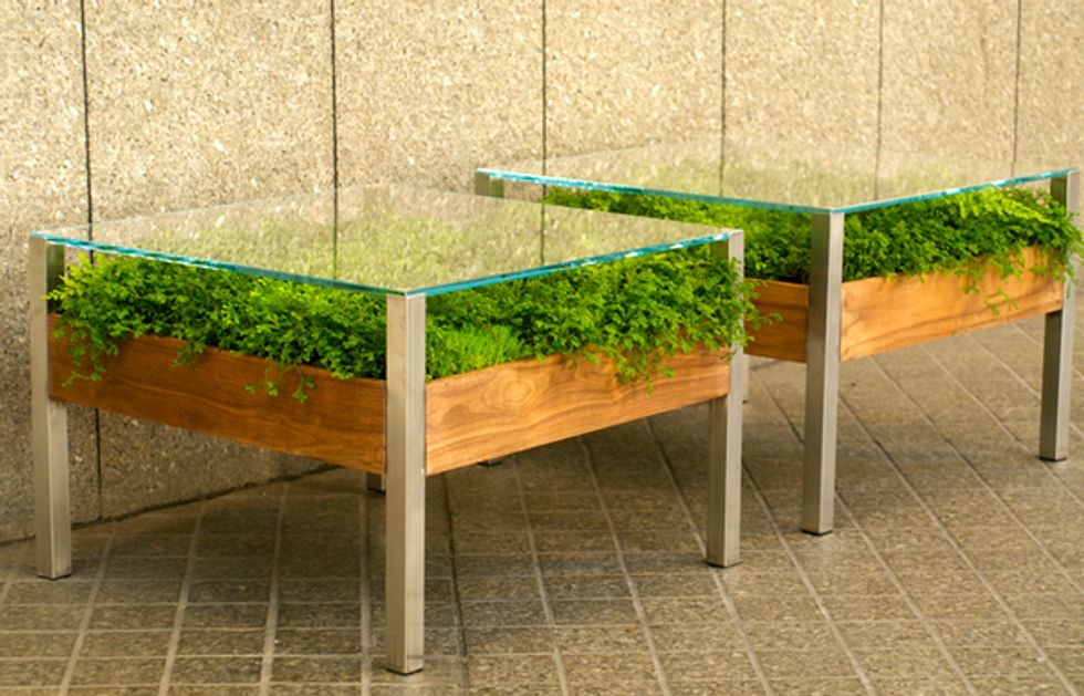 Living Furniture Brings New Meaning to Farm-to-Table
