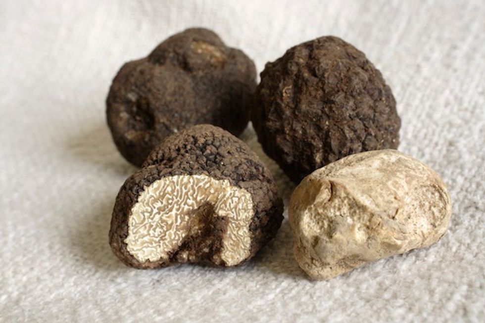 Will Bay Area Chefs Soon Have Local Truffles?