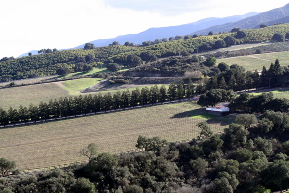 So Many Places to Sip in Monterey Wine Country, So Little Time