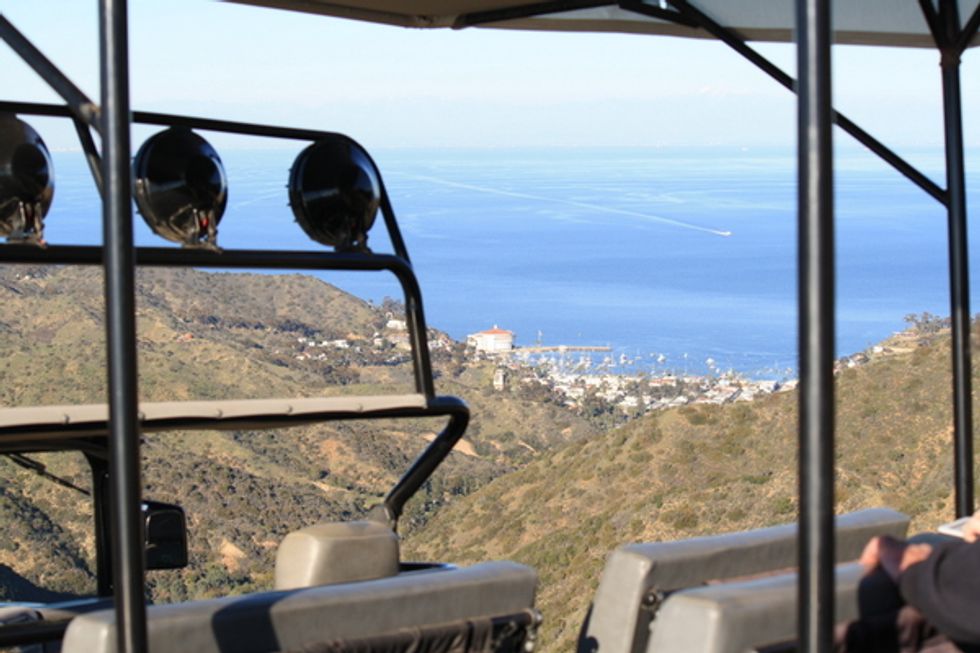 The Top Five Adventures on Catalina Island
