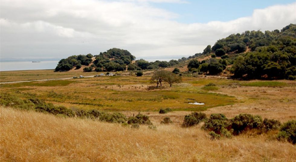 The Ultimate Sunday Bike Ride: China Camp State Park