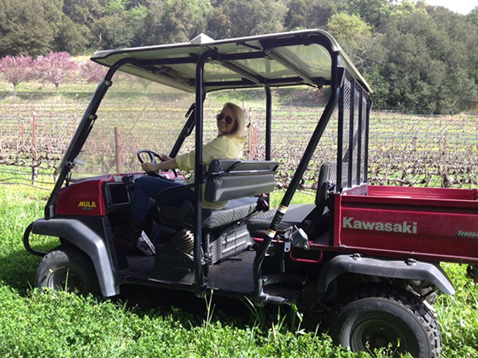 Napa’s Off-Road Winery Excursions