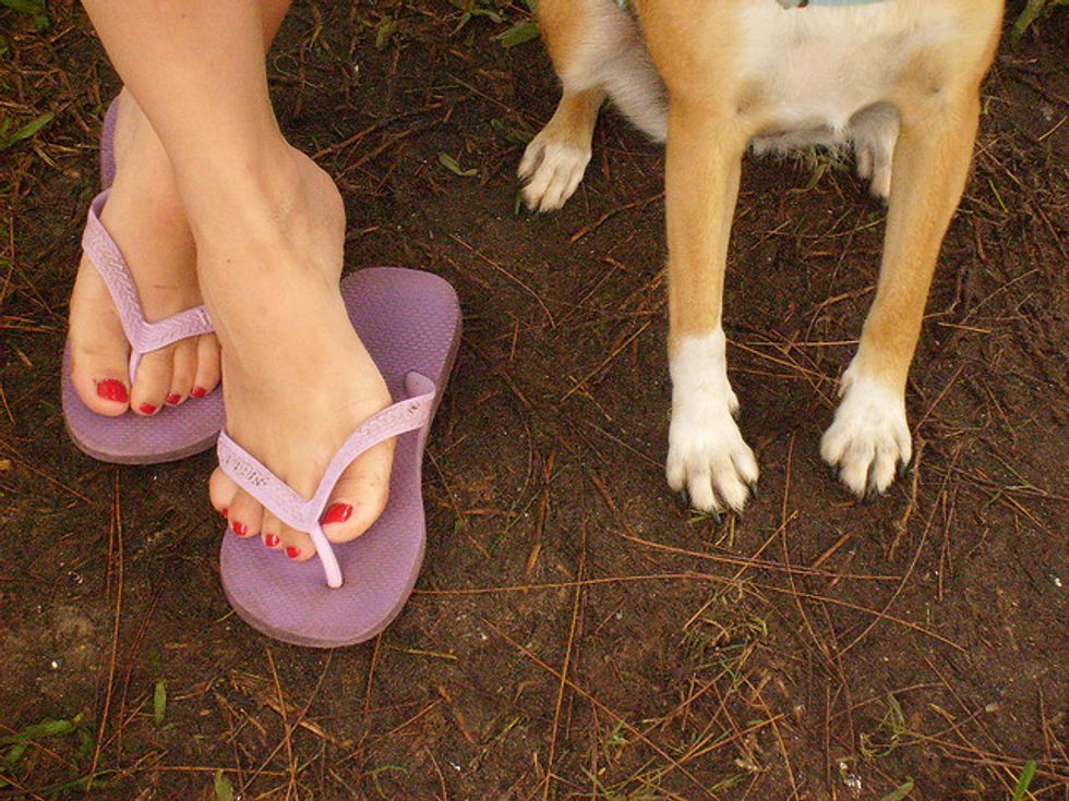 Ask A Vet: How Do I Tell My Dog I'm Sorry?