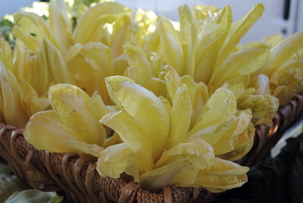 Market Watch: Belgian Endives are the New Stars of the Show