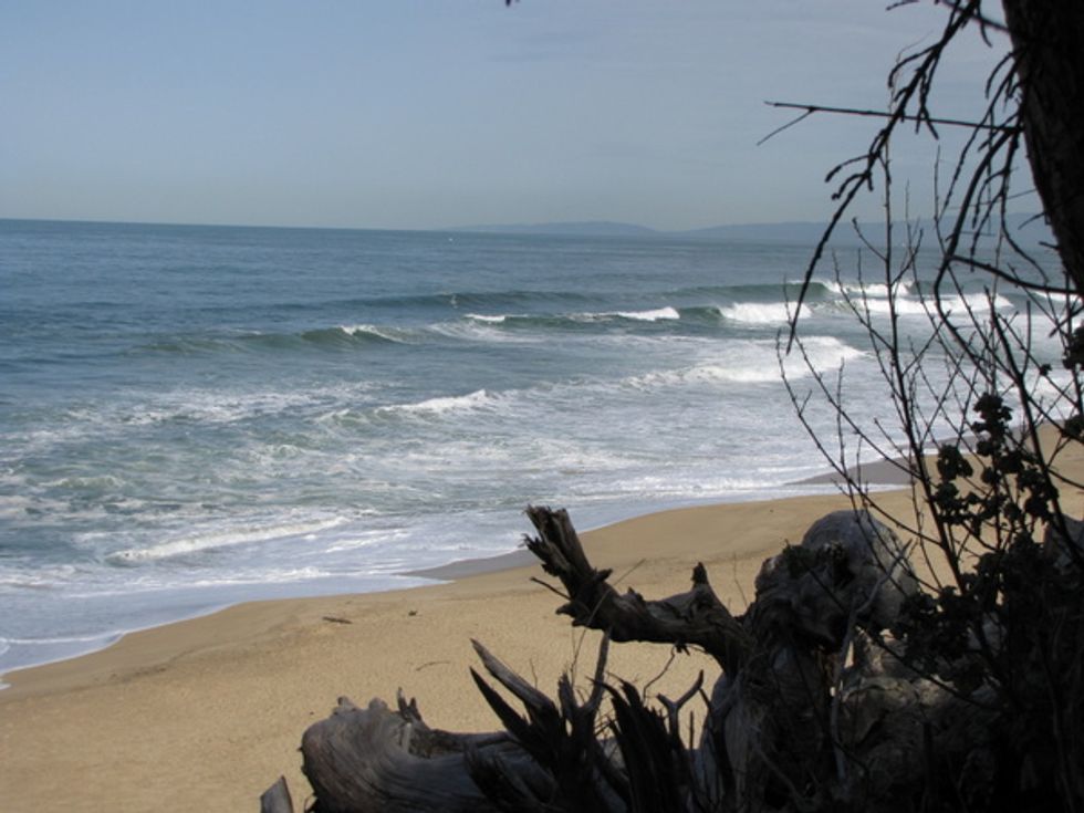 Bay Area Spots Perfect for a Spring Picnic