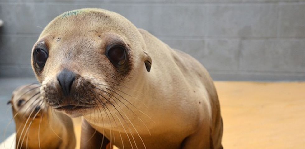 Three Reasons to Cross The Golden Gate Bridge