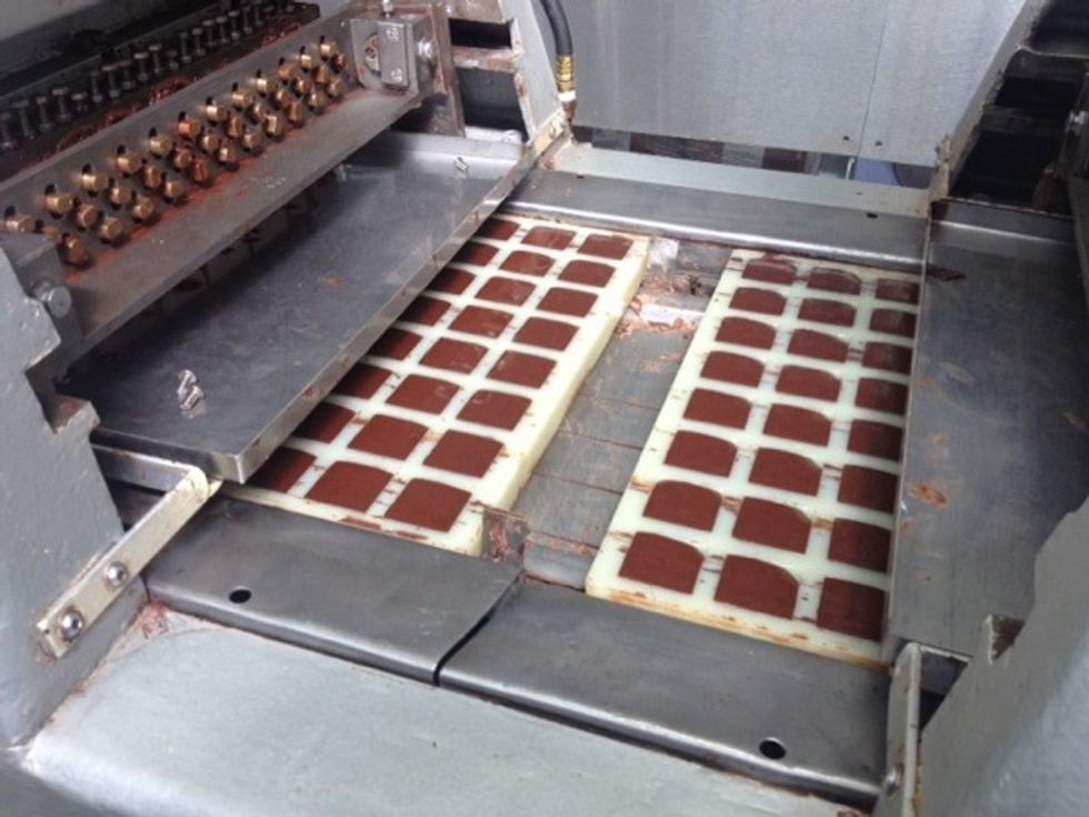 TCHO Expanding its Line of Fair Trade, Organic Chocolates