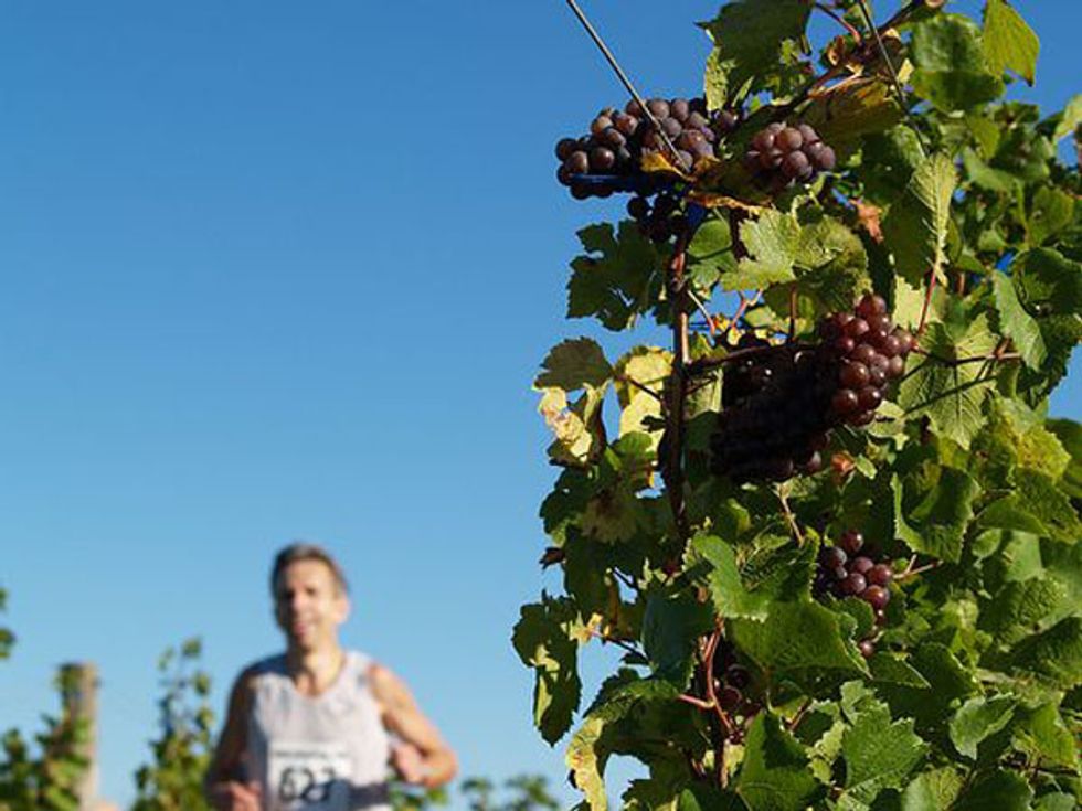 Leave the Booze Behind for Wine Country Running Races