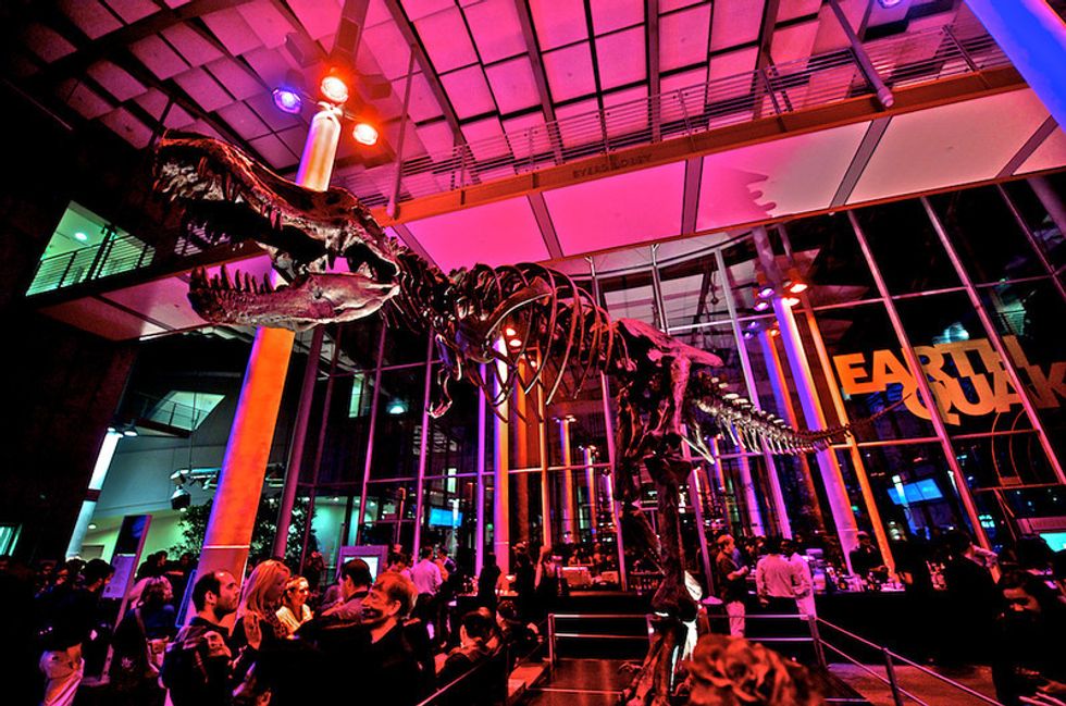 Creepy Creatures and Circus Fun at the Next Cal Academy of Sciences' Nightlife!