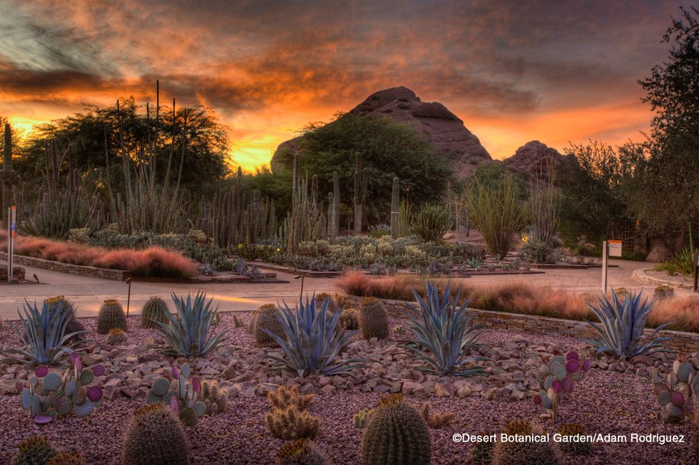 Top Ten Things to See and Do in Phoenix, Arizona