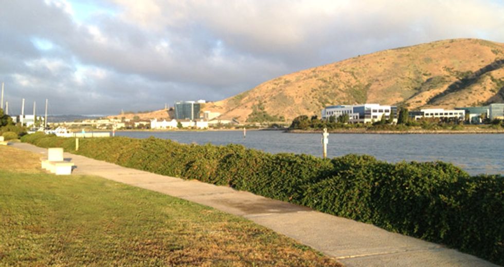The Ultimate Sunday Bike Ride: Eastshore San Francisco Bay Trail