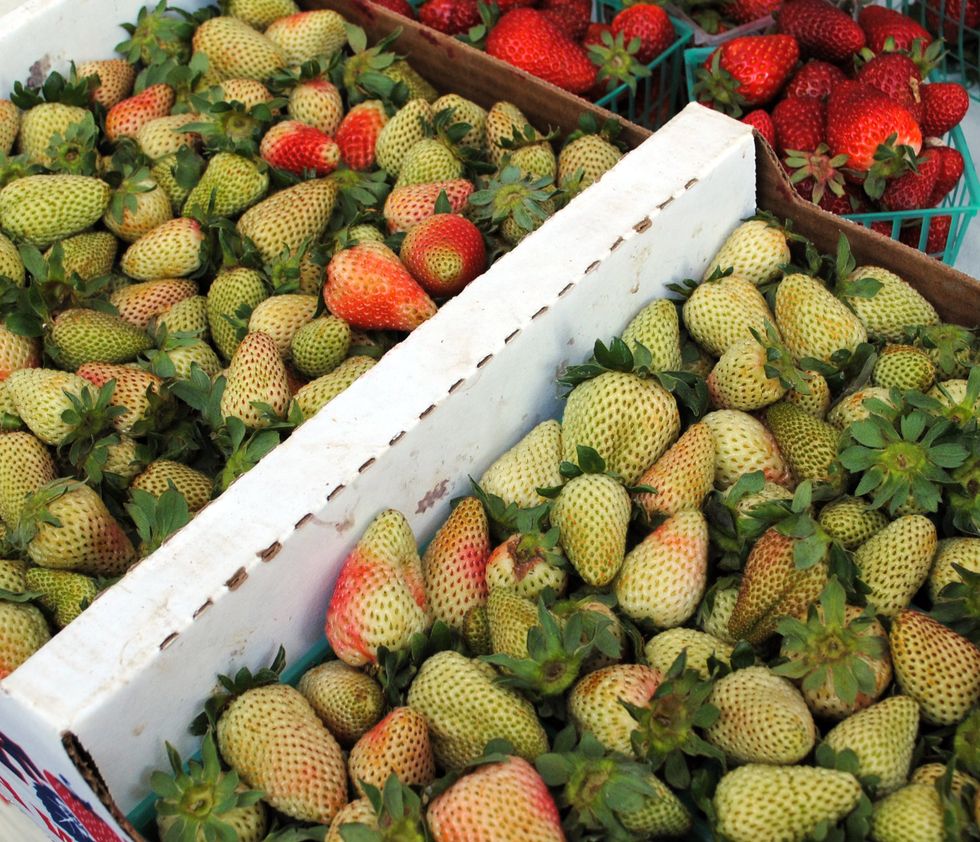 Now Trending: Green Strawberries