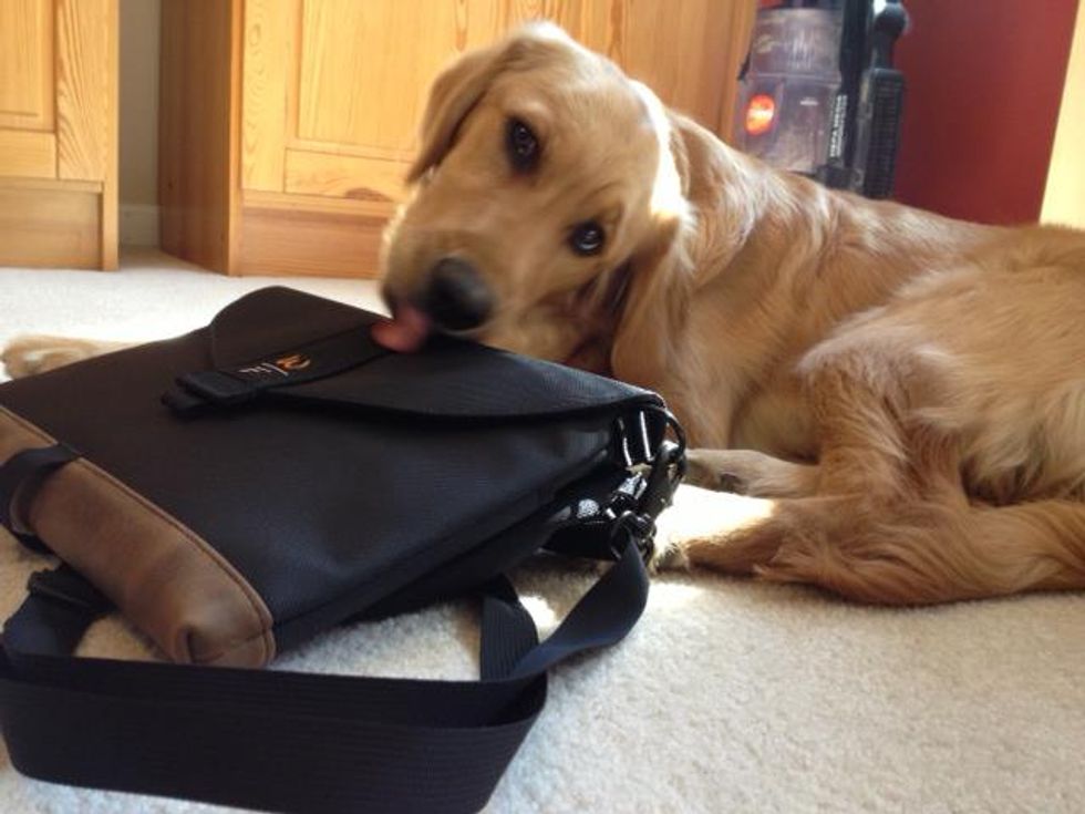 The Winner of Our Favorite Bay Area Small Business Awards!